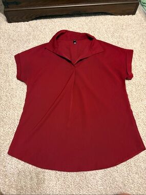 Jonivey Short Sleeve Red V-Neck Pleated Blouse Size: M